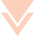 Double down arrow